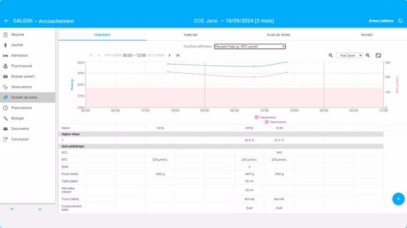 Galeon's interface: the delivery record